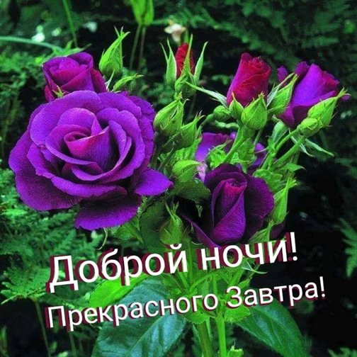 От всей души и сердца