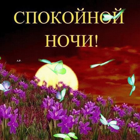 Особенная открытка для Открытки спокойной ночи с природой