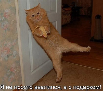 От души: Открытки с Днем Рождения с юмором