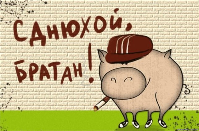 Открытки с Днем Рождения с юмором — прекрасный выбор!