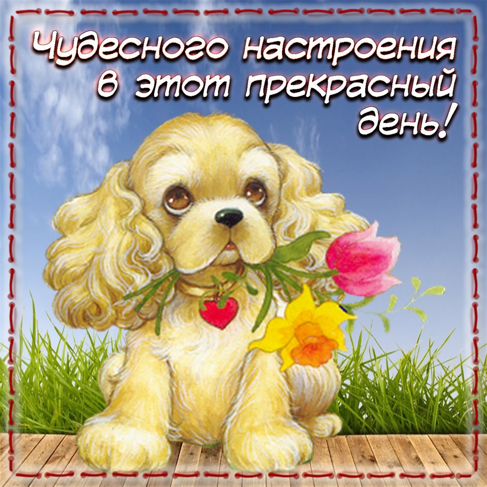 Пусть мечты сбываются