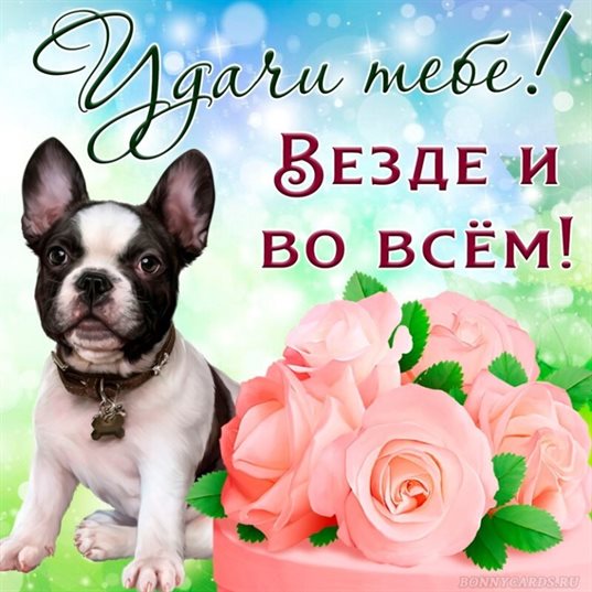 Теплые поздравления