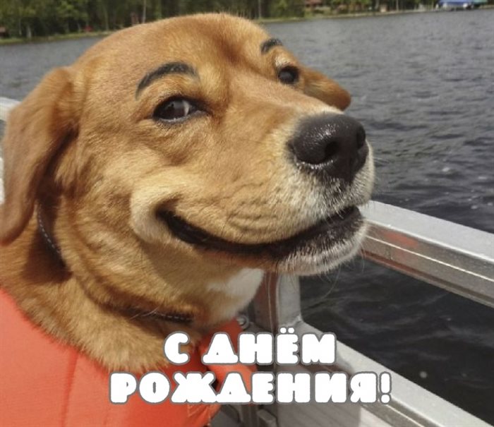 С наилучшими пожеланиями