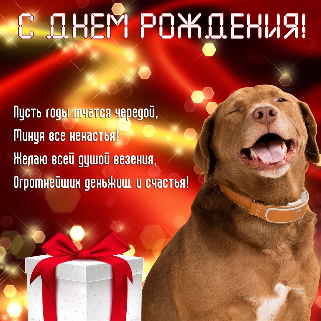 Особенная открытка для Открытки с Днем Рождения с собаками