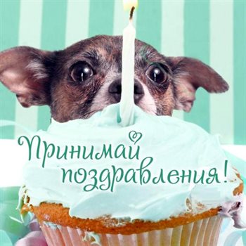 Радостная открытка