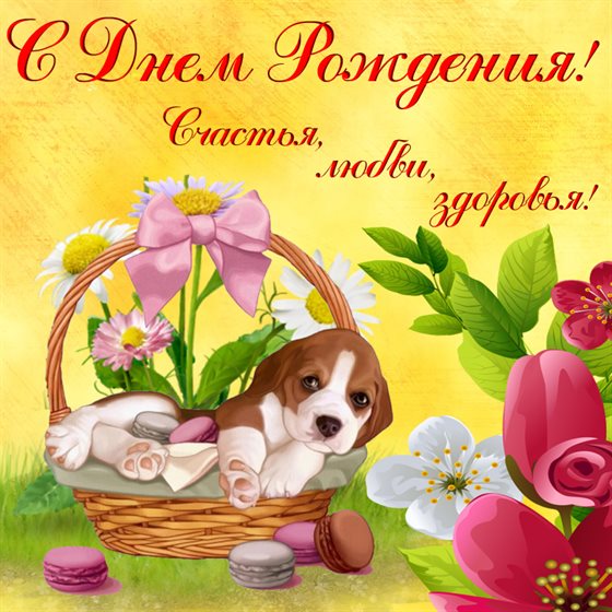 Тепло и улыбки