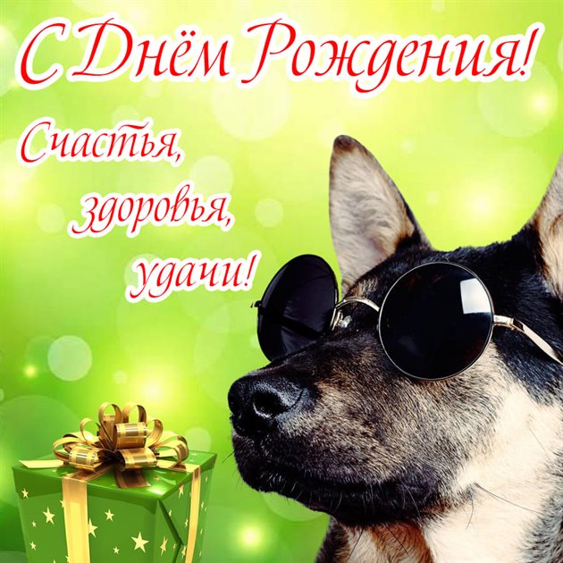 Открытки с Днем Рождения с собаками — прекрасный выбор!