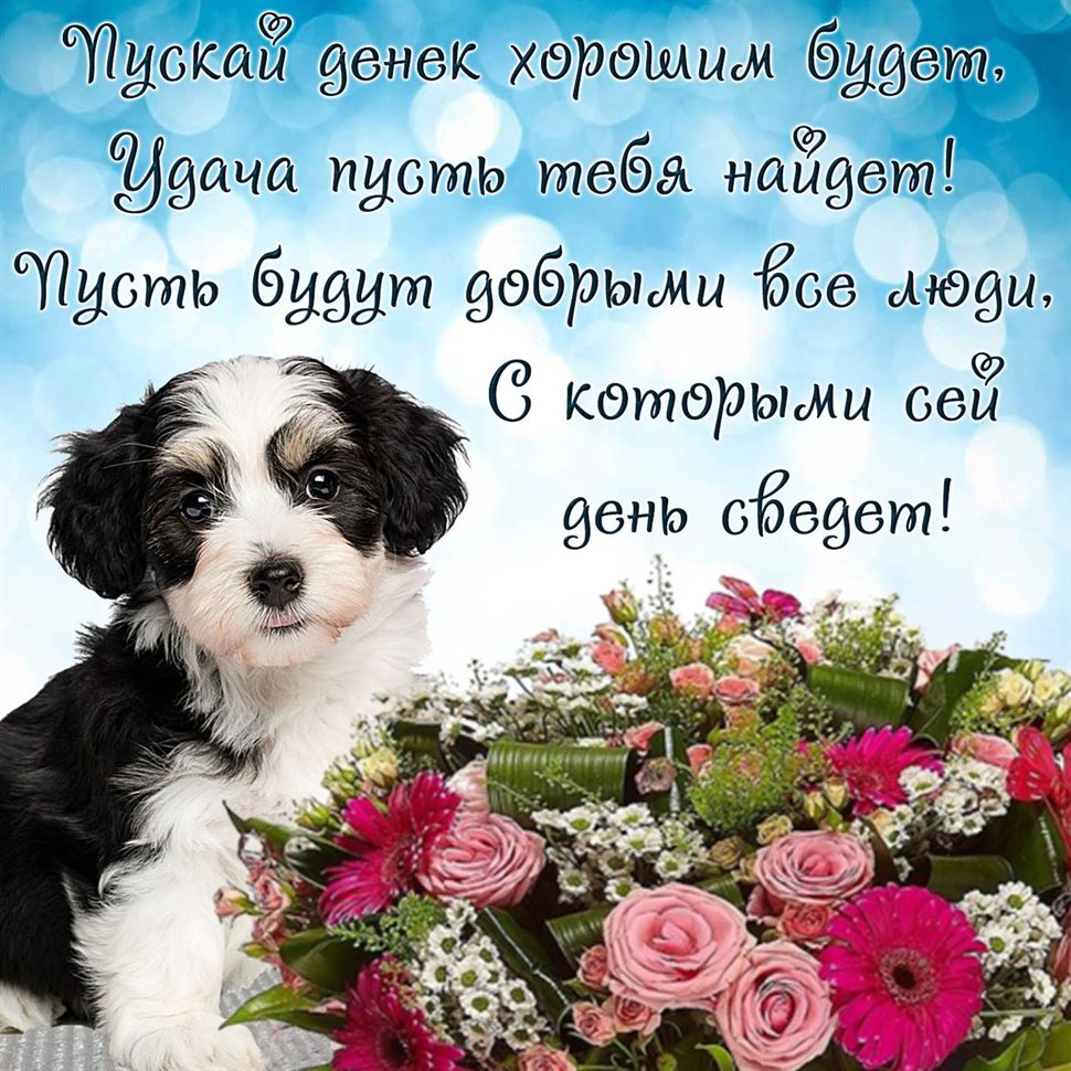 Пусть все сбудется