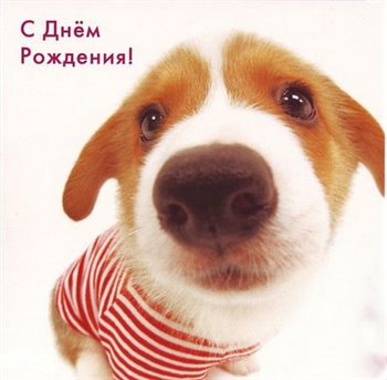 С наилучшими пожеланиями