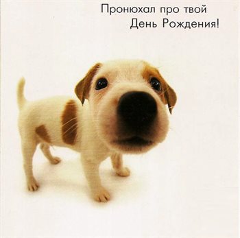 Нежность и внимание