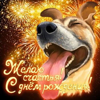 Теплые слова для Открытки с Днем Рождения с собаками