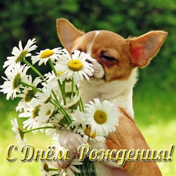 Луч света в ваш день