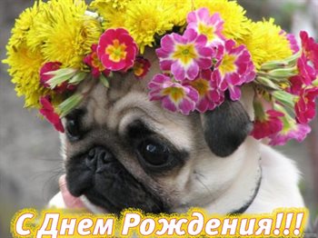 Милая открытка для вас