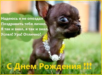 Красивая открытка для Открытки с Днем Рождения с собаками