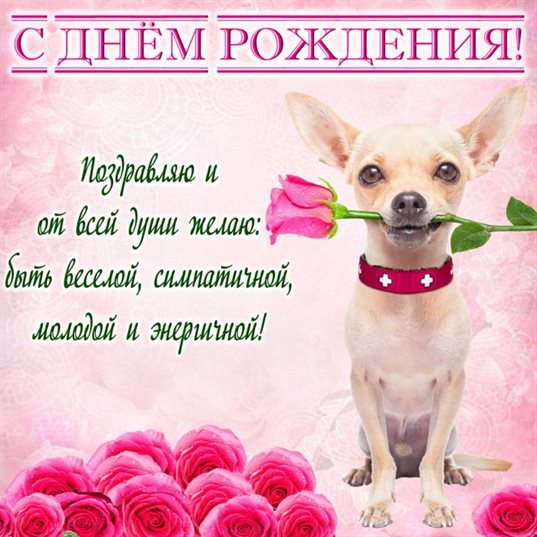 Чудесные поздравления для Открытки с Днем Рождения с собаками