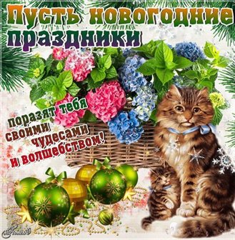 Пусть все сбудется