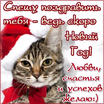 Радостная открытка