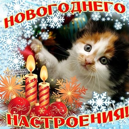 Пусть улыбка не сходит с лица