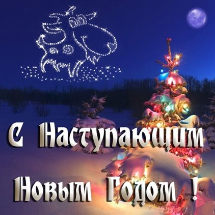 Немного тепла и заботы