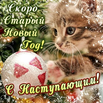Луч света в ваш день