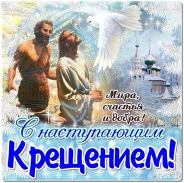 Немного тепла и заботы