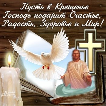 Немного тепла и заботы