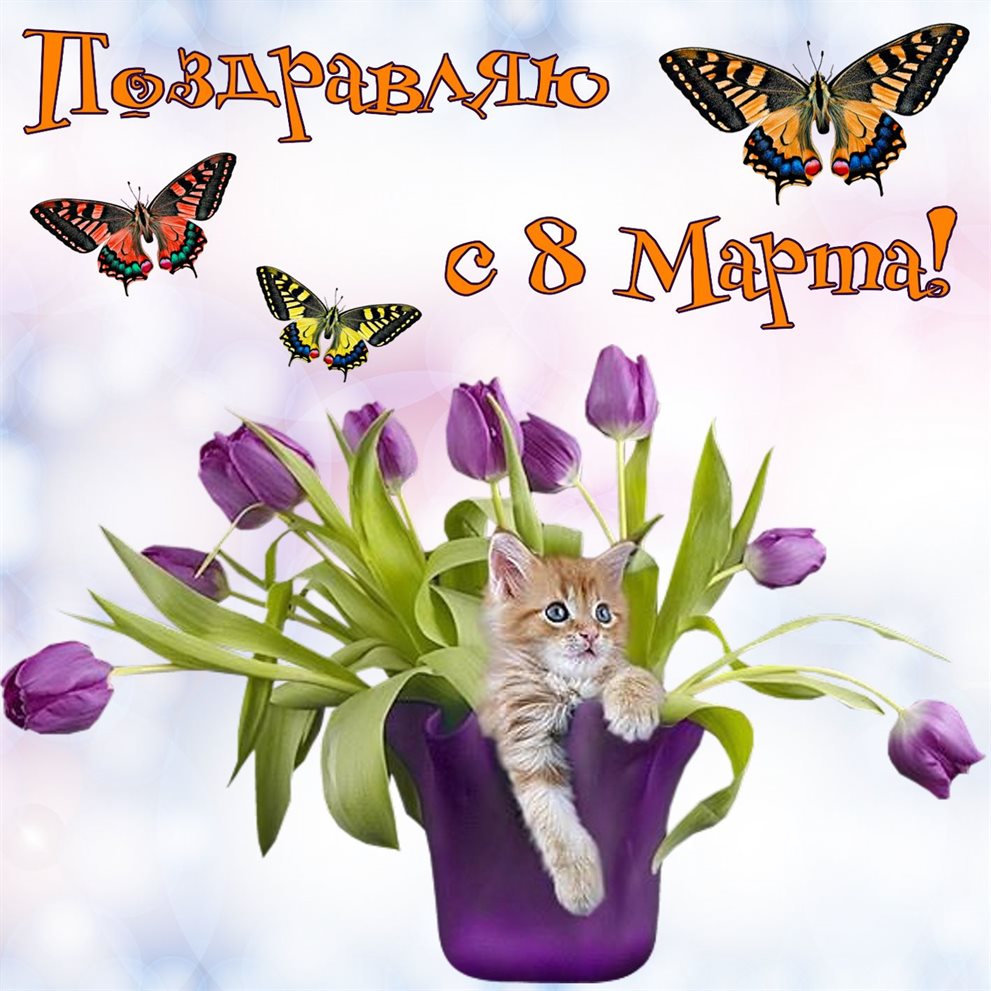 Луч света в ваш день