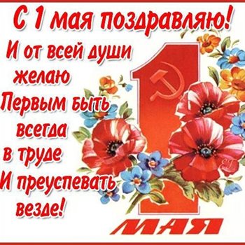 Немного тепла и заботы