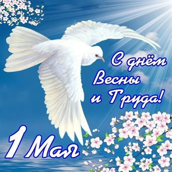 Милая открытка для вас