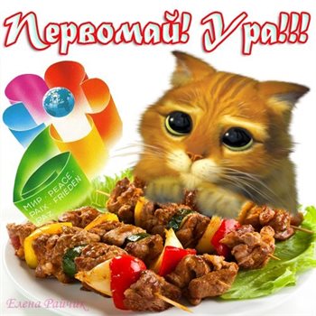 Нежность и внимание