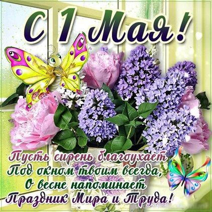 Луч света в ваш день