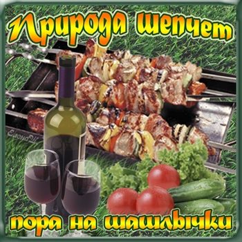 Немного тепла и заботы