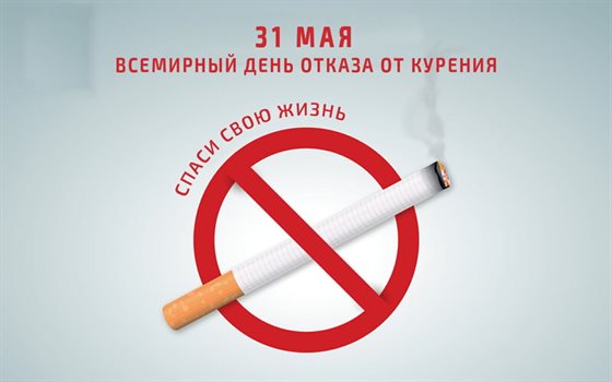 Немного волшебства в ваш день