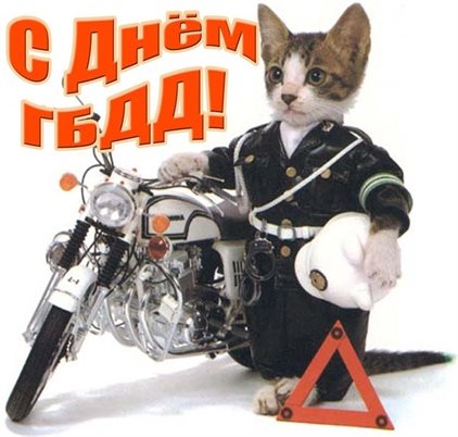 Немного волшебства в ваш день