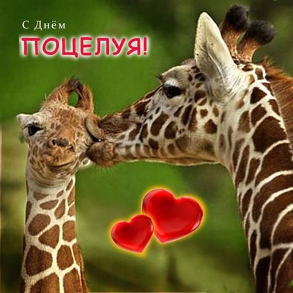 Луч света в ваш день