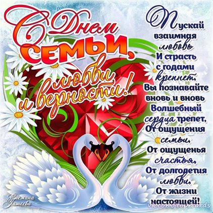 Немного тепла и заботы