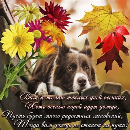 Хорошего настроения сегодня