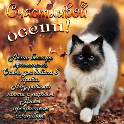 Милая открытка для вас