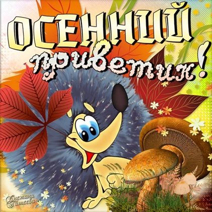 Лучшие пожелания