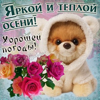 Чудесные поздравления для Открытки с началом осени, первым осенним днем