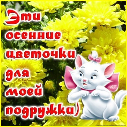 Тепло и счастье в каждом моменте
