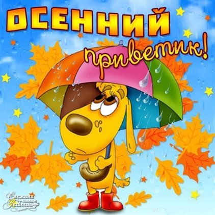 Милая открытка для вас