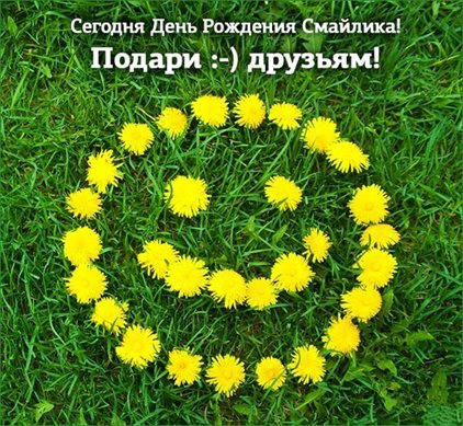 Больше радости в жизни
