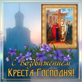Немного тепла и заботы