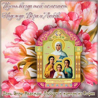 Немного тепла и заботы
