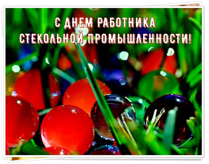 Немного тепла и заботы