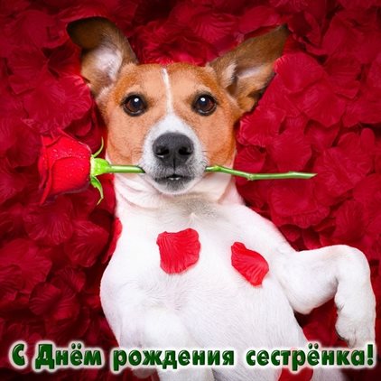 Приятные поздравления