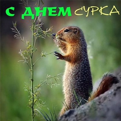 Пусть все сбудется
