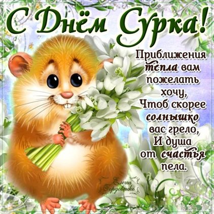 Пусть радость будет с вами