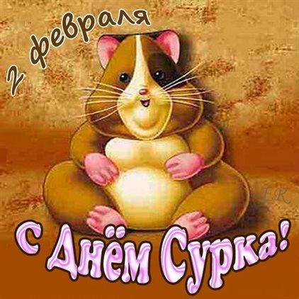 Тепло и счастье в каждом моменте